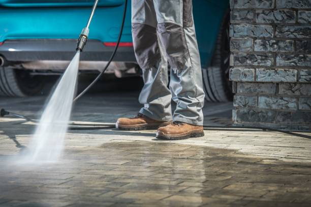 Best Oil Spill Cleanup  in Anza, CA